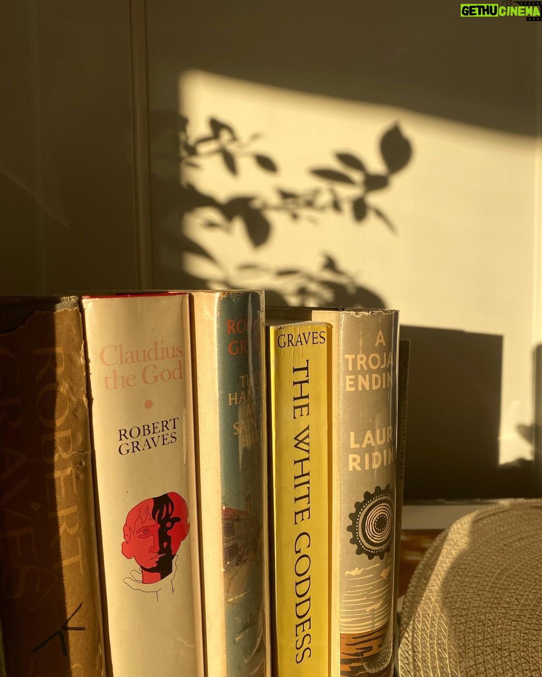 Dianna Agron Instagram - Good, glowy light spilling over some old friends.