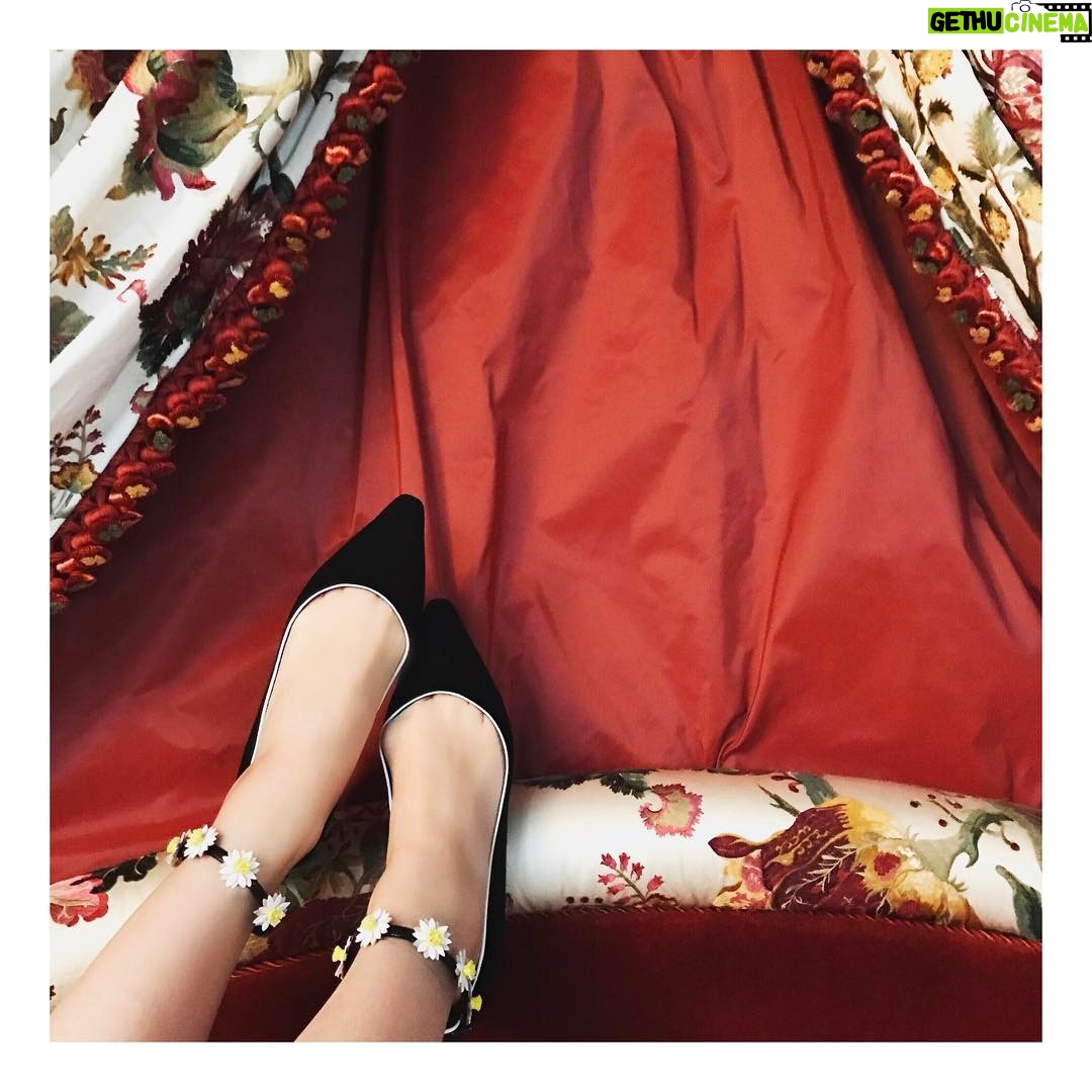 Dianna Agron Instagram - Please don't eat the daisies... 💛💛