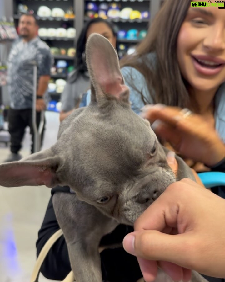 Diego Tinoco Instagram - Brought Spooky out to the block. Comment where we should do the next meet and greet!📍👻 Northridge, California