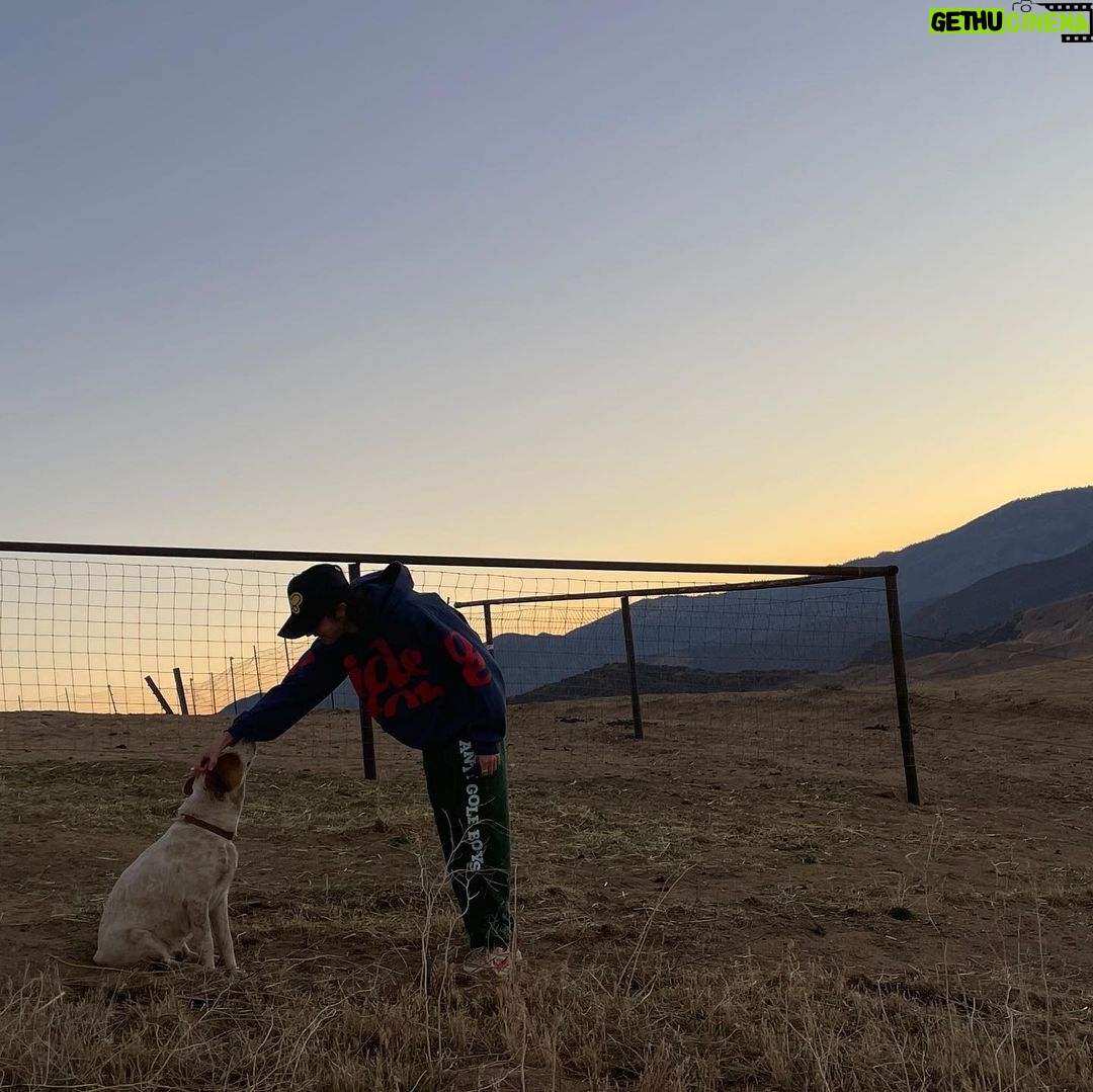 Diego Velazquez Instagram - met this dog recently The Outback, Australia