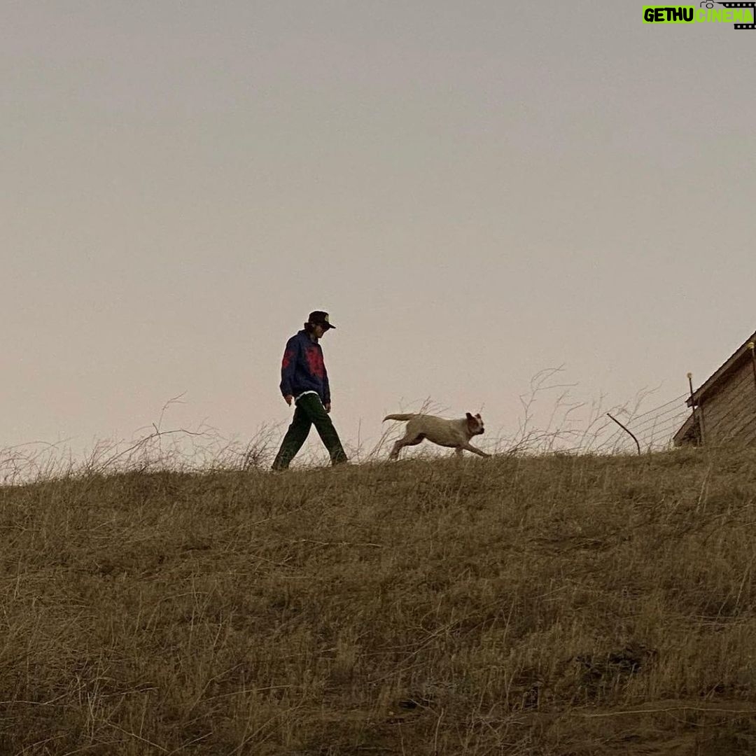 Diego Velazquez Instagram - met this dog recently The Outback, Australia