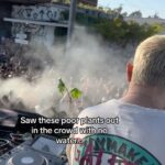 Dillon Francis Instagram - where is this guy getting all these plants?