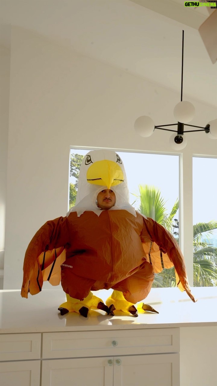 Dillon Francis Instagram - Be careful with the eggs, Pendejo 🥚