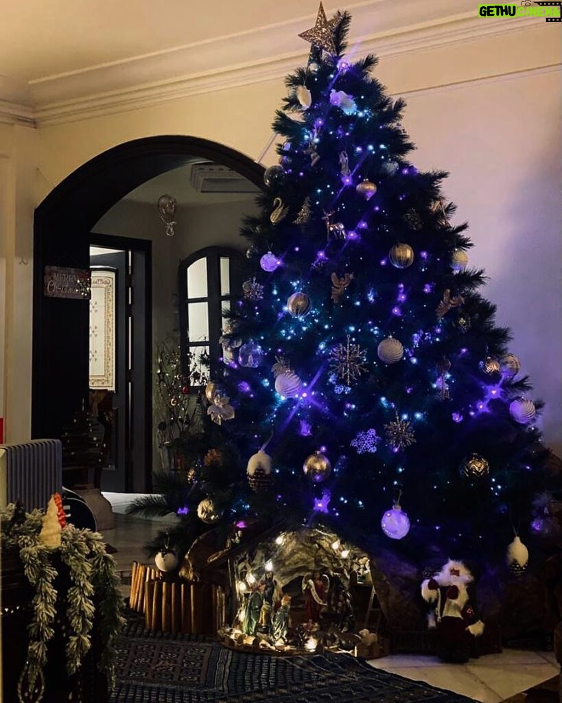 Dima Kandalaft Instagram - بحب شجرة العيد وإضاءتها وزينتها.. ان شاء الله كل إيامكن مضواية ومزيّنة بالفرح 🤍 #ديمة_قندلفت | #DimaKandalaft