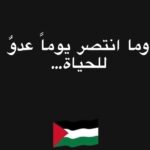 Dima Kandalaft Instagram – #فلسطين 

#ديمة_قندلفت