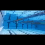 Dima Kandalaft Instagram - #swimming in a #big #world #health #life and #sport #dimakandalaft 🤍
