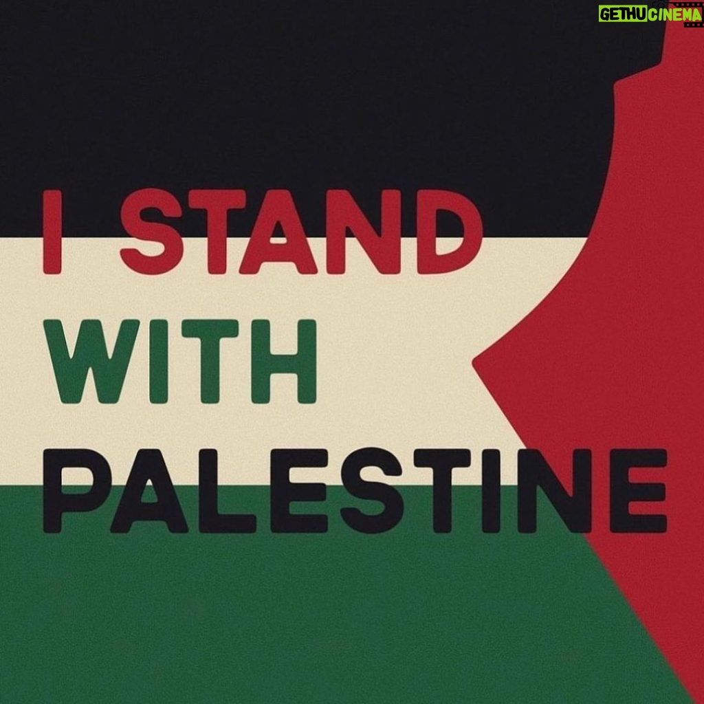 Dina El Sherbiny Instagram - Free Palestine 🇵🇸