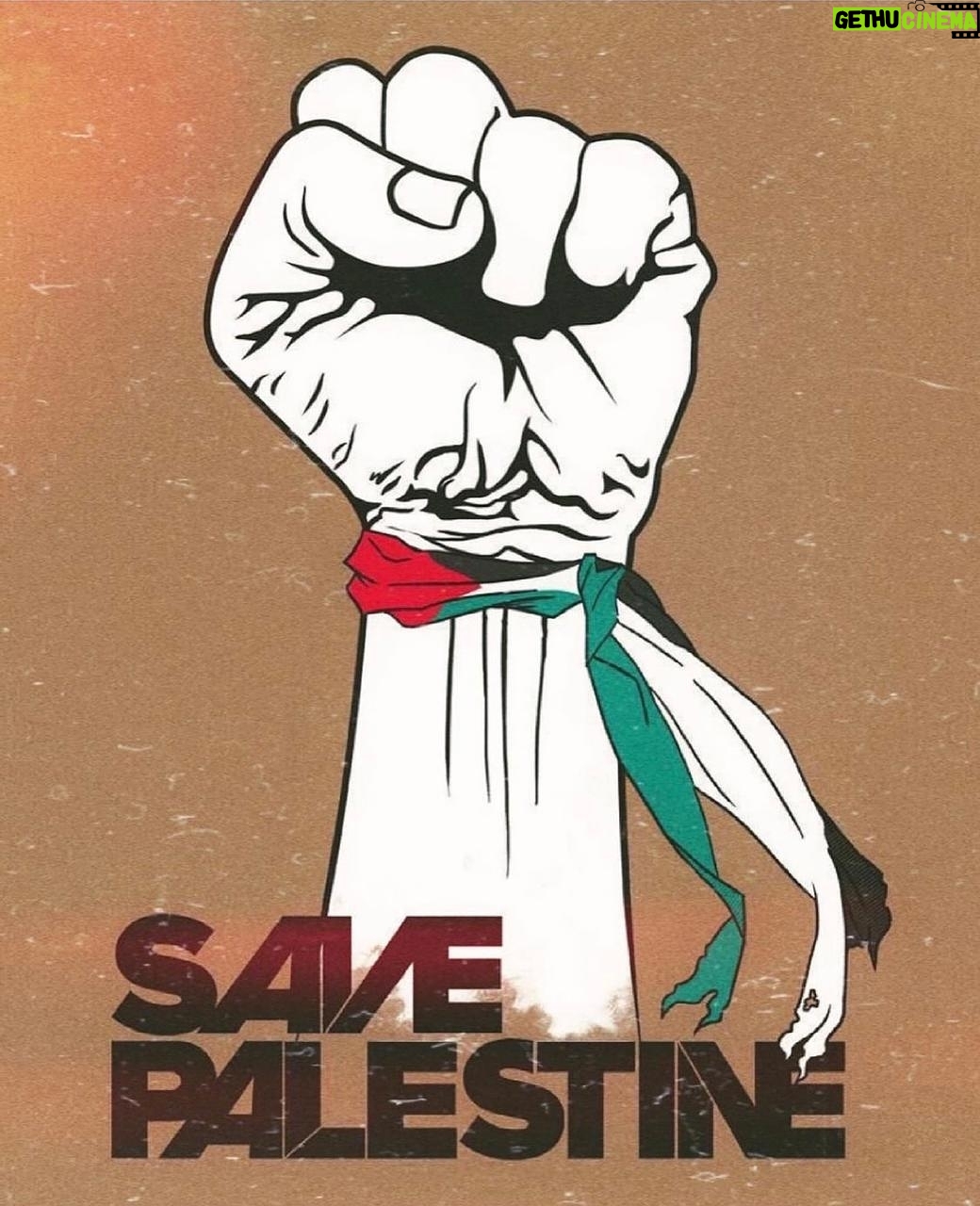 Dina El Sherbiny Instagram - يارب لا ناصر لاخواتنا في فلسطين الا أنت. قلوبنا وجهودنا معهم دائما #غزة_تحت_القصف #GazaUnderAttack #فلسطين