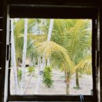 Dira Paes Instagram - Estive na Ilha do Combu um tempo atrás, filmando um longa metragem ainda inédito. O Pará tem uma infinidade de paisagens, comidas, tradições, belezas, mas também muitas questões sociais. É urgente que autoridades e população estejam alinhados e com as atenções voltadas para a Região Norte, tão fundamental não só para o Brasil, como para todo o planeta. O compromisso real vem de ouvir os amazônidas, entender as diferenças e infraestruturar para um crescimento sustentável. Só assim vamos amenizar os problemas, protegendo o meio ambiente e celebrar a potência da nossa diversidade.