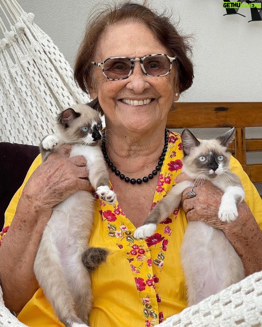Dira Paes Instagram - Hoje é o seu primeiro aniversário sem o seu abraço, o seu sorriso e a sua sabedoria. Mas você mora em mim e isso não se apagará jamais. Fizemos um pacto e a lua é a nossa testemunha 🤎🌓 Vou te amar e te celebrar por toda a minha vida, Dona Florzinha, mãezinha querida!!!