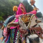 Divya Vadthya Instagram – సంక్రాంతి శుభాకాంక్షలు

#divi #divivadthya #divinunchi #sankrathi