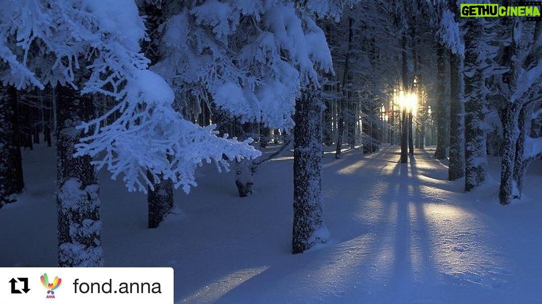 Dmitriy Nagiev Instagram - #Repost @fond.anna with @repostapp ・・・ Друзья! Скоро Новый год! Наш Благотворительный фонд запускает акцию "Письмо Деду Морозу" в Санкт -Петербурге и скоро эта же акция стартует в Москве! Дети из многодетных семей уже пишут письма Деду Морозу. Очень надеемся на Вашу поддержку и помощь в исполнении детской мечты! Вы можете купить и отправить подарок на адрес фонда ( с пометкой подарок от ДМ для ...) или сделать перевод, в котором также написать на какой подарок и для кого. Письма с пожеланиями можно посмотреть на сайте fondanna.org Также просим обратить внимание на изменение в расчетном счете нашего фонда. Поменялись - Почтовый адрес и КПП. Спасибо за то что Вы с нами! Расчетный счет Получатель: Благотворительный фонд Дмитрия Нагиева «Анна» Юридический адрес:111538.г. Москва, ул Косинская д4, корп.2, кв. 7 Почтовый адрес: 111538.г. Москва, ул 1-я Вольская д7, корп.1, кв. 201 ИНН 6123017132 КПП 772001001 ОГРН 1126100002357 ОКПО 38433826 Р/с 40703810638000002528 в ПАО СБЕРБАНК К/с 30101810400000000225 БИК 044525225