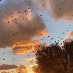 Dmitriy Nagiev Instagram - Рубрика - «Уголок аристократа». Не замыкайтесь в себе. Напишите мне что-нибудь, медвежатки. И станет легче. Ой, не вам. Извините, ошибся приложением.