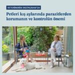 Doğa Rutkay Instagram - Patili dostlarımızın kene, pire ve uyuz gibi sağlığını etkileyen dış parazitlerden korunması ve mücadelesi hakkında tüm merak ettiklerinizi, benim moderatörlüğümde ve Veteriner Hekim M. Çağlar Kondu’nun konuk olduğu "Veterinerim Instagram’da" söyleşinin tamamını IG TV üzerinden izleyebilirsiniz. #VeterinerimInstagramda #MiyavdanHavdanAnlarım #PatimiTakipEt #KaşınmaDediğin #PireveKenelereSon @boehringeringelheimtr ile #işbirliği 🩵🐶