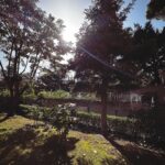 Doğa Rutkay Instagram - Sevgili dostlar, bildiğiniz gibi biz Urlada tatlış bir beldemize taşındık, 🌴ailecek ömrümüzde bir kapı araladık 🚪.Yavrularımızı doğada,yağmurda,denizde, karmaşadan stresten uzak her saniye bulutların ☁️geçişini izleyebilecekleri bir tecrübe yaşatmak istedik. Bakalım deniyoruz, olur da becerirsek çok sevinicem 👍🏼yok olmadı bakarız, malum bi Kerimcan bi ben durmadan İstanbul’a işlere koşturuyoruz🐎 Şimdiii bu postu paylaşmak istememin sebebine gelelim🤗 Dostlarr tabi işlerimiz uzadığında yavrularımızı da peşimizden sürükleyerek ailecek İstanbul da nerede kalsak, çoluk çocuk gelip gidiyoruz ne yapsam diye düşünürken karşıma @missafir çııktı! Tam bize-çocuklara uygun bahçeli, sıcacık çok rahat ettiğimiz merkezi bir ev bulduk ve yerleştik🪴. Rezervasyondan karşılamaya kadar tüm süreçte desteklerinden çok memnun kaldık. Karşılamadan, temizliğe, 7/24 iletişim desteğiyle sahiden kusursuz bir “ev hissi” deneyimi yaşadık👍🏼🌟💫 Bu vesileyle tüm ekibe ve bu güzel oluşuma teşekkür etmek istedim 🧿 Türkiye ve yurt dışında ev rahatlığında konaklama için @missafir’e bakabilirsiniz benden caanı gönülden bir #tavsiye! Okullar ara tatil olunca yine ailecek İstanbulda’yız bu sefer hangi @missafir 🏡evinde kalsak acaba?😬😍 #tavsiye #reklam Istanbul, Turkey