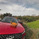 Doğa Rutkay Instagram - Aralık ayı geldi hoş geldi🫶🏻 Bizim buralar aralıklı güneşle aydınlanıyor, portakal mandalina bahçelerinde @chery_turkiye ile harika bir gün geçiyor❤️ 🍊 #Chery #CheryTürkiye #TIGGO7PRO #YolaKiminleÇıktığınÖnemli Urla, Izmir