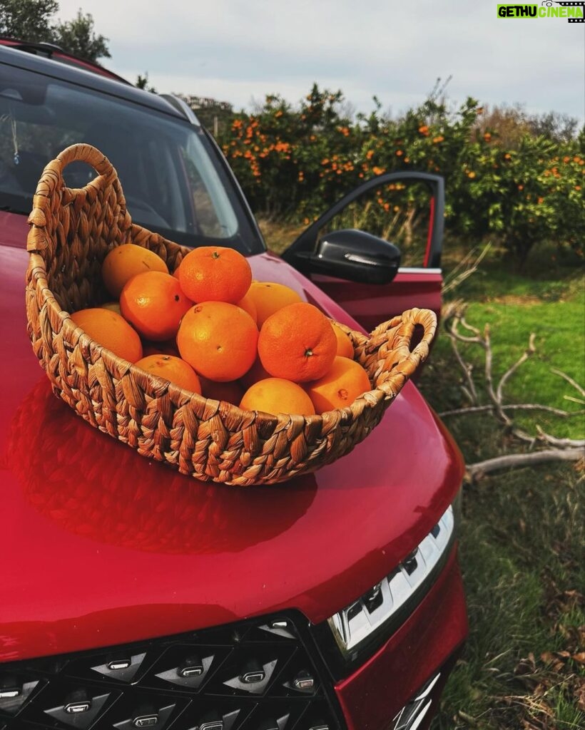 Doğa Rutkay Instagram - Aralık ayı geldi hoş geldi🫶🏻 Bizim buralar aralıklı güneşle aydınlanıyor, portakal mandalina bahçelerinde @chery_turkiye ile harika bir gün geçiyor❤️ 🍊 #Chery #CheryTürkiye #TIGGO7PRO #YolaKiminleÇıktığınÖnemli Urla, Izmir