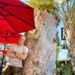 Dolph Lundgren Instagram - Enjoying lunch in Laguna Beach in the shade of this amazing 170 year old Eucalyptus tree. The tree was planted around the time California became a part of the United States. Pretty cool👍🏻👍🏻 Laguna Beach, California