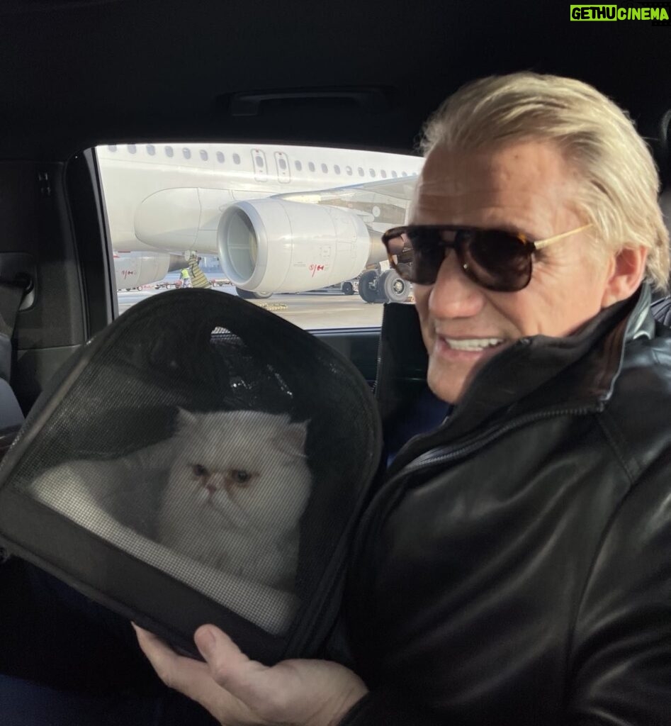 Dolph Lundgren Instagram - I always bring my personal assistant along when I travel. 😻