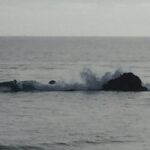 Dominic Purcell Instagram - ( yeah little dot on left of frame is me haha)……Rare when u get one when ya know it’s flat and no one out. …. Waves in #la suck.