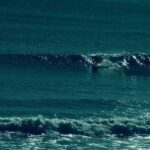 Dominic Purcell Instagram - #surf #nikonz6 #tamron28300…300mil lens…… “ ya get it” @colourcircles …..still a kid same stoke. 😂