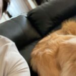Dominic Sherwood Instagram – I’m so, so excited about this. The team @limbitless3d have been amazing at not only creating wonderful innovative products for those in need FOR FREE, but also have welcomed me in so warmly! Stick around for further updates on projects and how you can get involved! I love you all!!

#limbitlesssolutions #danlovesyoutoo