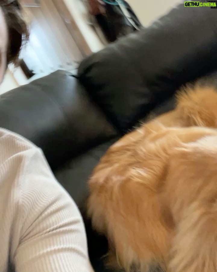 Dominic Sherwood - 314.2K Likes - I’m so, so excited about this. The team @limbitless3d have been amazing at not only creating wonderful innovative products for those in need FOR FREE, but also have welcomed me in so warmly! Stick around for further updates on projects and how you can get involved! I love you all!!
#limbitlesssolutions #danlovesyoutoo
