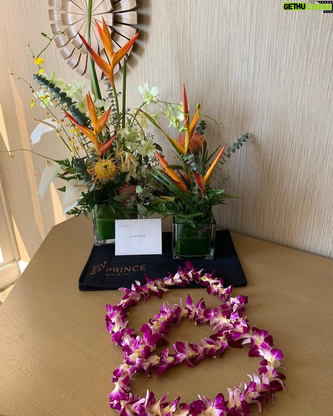 Dominic Sherwood Instagram - What a wonderful trip! @princewaikiki thank you! #hawaii