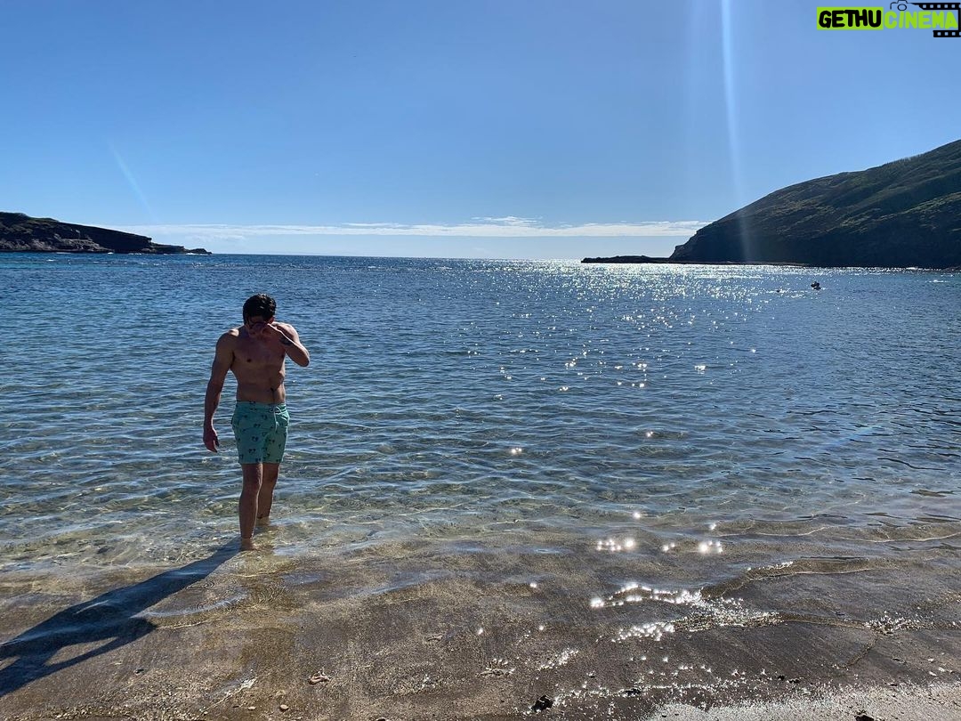Dominic Sherwood - 292.8K Likes - Hawaii!! Tried to take a cool photo but I got sand in my eye! Thank you @princewaikiki for making One day one so special. Here’s to day two!! #princewaikiki #hawaii
PS. @mollyburnett saw a baby hammerhead shark, I tried to chase it but turns out they are really good at swimming.