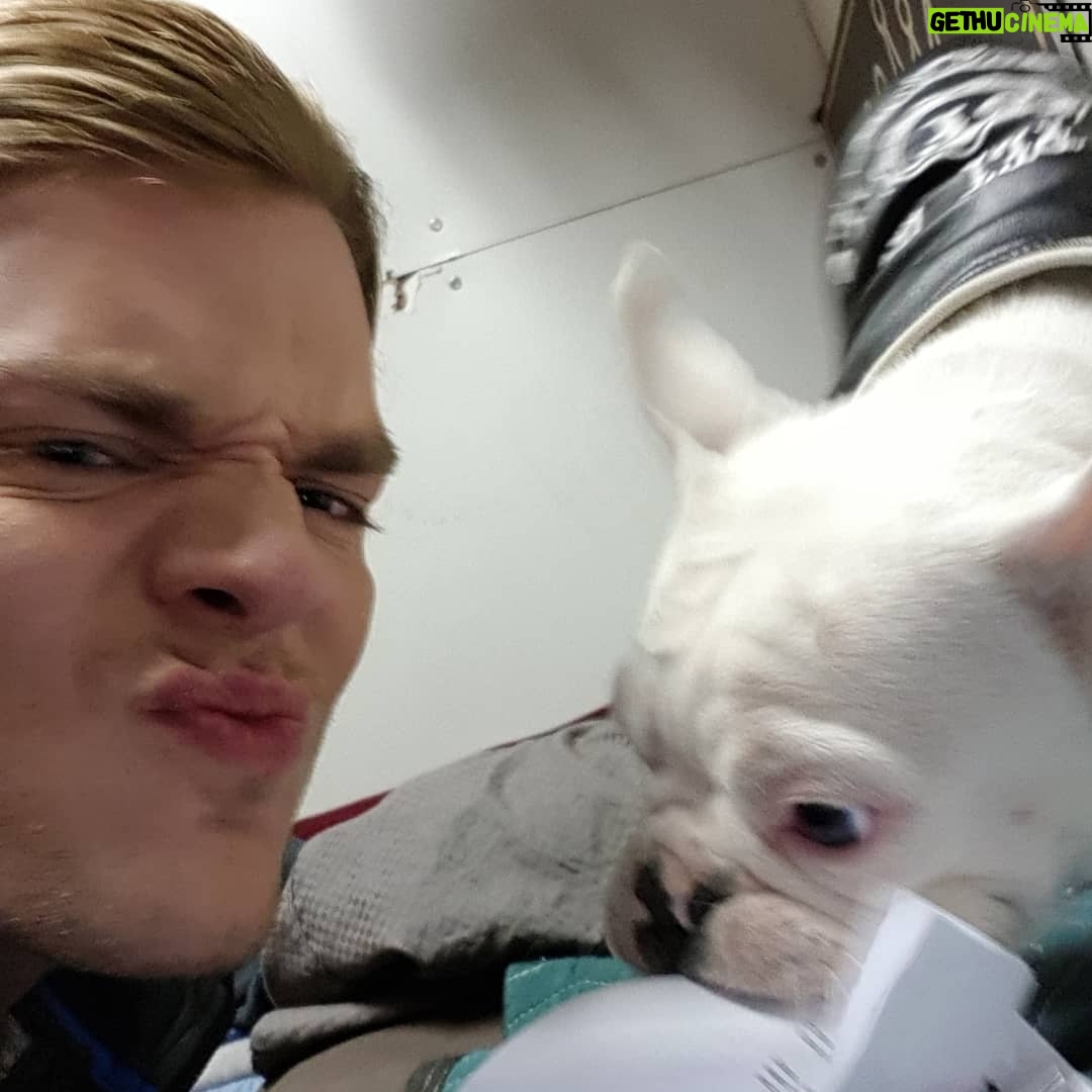 Dominic Sherwood - 340.1K Likes - Line learning with @productionpetey @shadowhunterstv