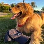 Dominic Sherwood Instagram – We are calling this the hat saga…most recent update…I don’t have my hat.