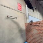 Dominique Barrett Instagram – Superhero training pt.5 💪🏾🏆🏋🏾♂️ Tempest Freerunning