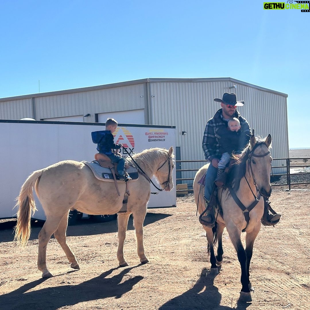Donald Cerrone Instagram - I get to represent a lot of horses. All of them special. But it’s the ones like these two unicorns “Danger’s Champ” and “Riots Reign” that carry the next generation of cowboy culture that really make my ❤️ happy. Thank you @cowboycerrone for trusting me to find your legacy keeper’s unicorns. I appreciate you. #whoazoneequine New Mexico