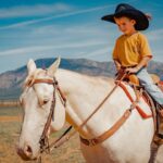 Donald Cerrone Instagram - They say a Dog is a man’s best friend!! I bought this @whoazone_equine colt the day danger was born. I needed a best friend with a gentle mind and strong back to carry his partner through the next 30 years of his life. I couldn’t ask for a better horse to bond with my son. Champ is his name because he’s a Champaign dune Together they are “ Dangers Champ “ BMF Ranch