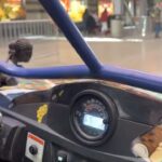 Donald Cerrone Instagram - Well driving down Las Vegas Blvd onto Fremont Street was kinda cool moment. Especially when my Uber driver was only 4yrs Las Vegas, Nevada
