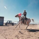 Donald Cerrone Instagram - Champ and I have a competition in November we getting ready for!! BMF Ranch
