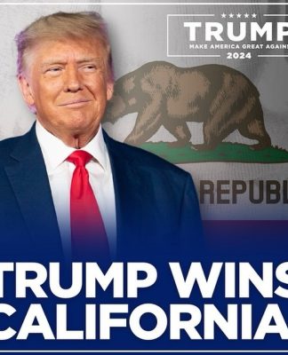 Donald Trump’s Instagram: Top 10 Fan Favorites