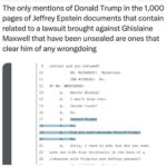 Donald Trump Jr. Instagram - Everyone knows that if Trump was ever part of the Epstein Pedo crew it would have leaked a long time ago. He’s obviously clear and anyone who knows him knows there was no doubt despite the left desperately trying to make it so. That said, I hope everyone on there gets what’s coming to them.