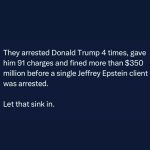 Donald Trump Jr. Instagram - It’s almost like the people going after my father are the Epstein clients…