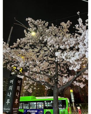 Donghae Instagram - 이쁘더라 너 🌸