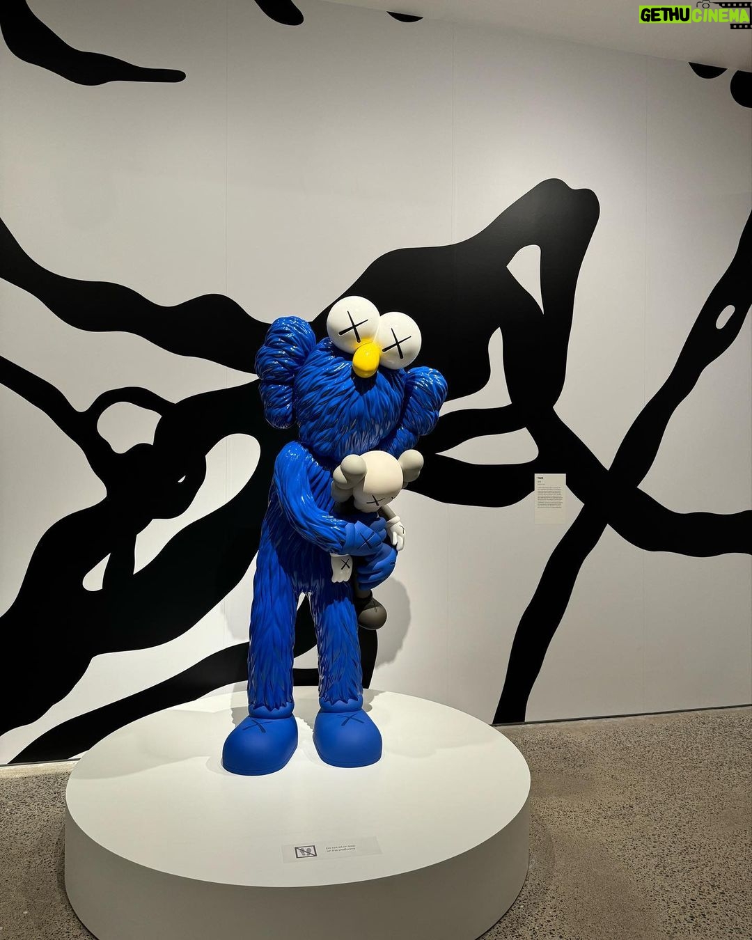 Donghae Instagram - I was so happy to see my favorite exhibition in Toronto. #kawsfamily AGO - Art Gallery of Ontario