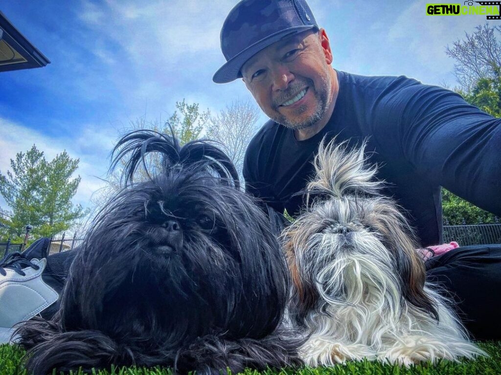 Donnie Wahlberg Instagram - Happy #ShihTzuesday from me and these two little angels. Have an awesome day! 🐶🐾🙏🏼❤️💫✨😍 🤖❤️♾💫✨🤟🏼 #shihtzu #shihtzusofinstagram #shihtzulovers Saint Charles, Illinois