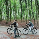 Donnie Yen Instagram - Spending quiet and precious times with family is what’s all about🚲🌲🐿️We missed you Nui Nui ❤️ @jasmineyen @sweetcil @jamesyenofficial