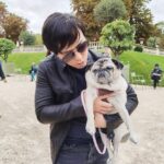 Donnie Yen Instagram - Who’s puppy is this, better be nice! (On the set of JW4 btw😎) @johnwickmovie @lionsgate @thunderroadpictures @sweetcil #doglover