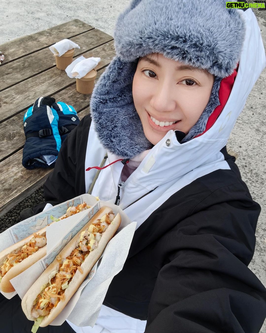 Donnie Yen Instagram - Snowmobile on top of the glacier is definitely an adventure to remember. 🏔️❄️ Breathtaking views and so fun going high speed up and down the glacier!!! Swipe ➡️ for the videos! Visited so many special landmarks, national park, lagoons, waterfalls, diamond beach, game of thrones shooting locations, glaciers, ice caving, dairy farm, tomato farm, Viking restaurant, Icelandic horse back riding, best hotdogs, best lobster roll, and best lobster soup AND last but not least we saw the magical northern lights!!! #bucketlist #iceland #snowmobile #adrenaline #photodump #yenadventures2024