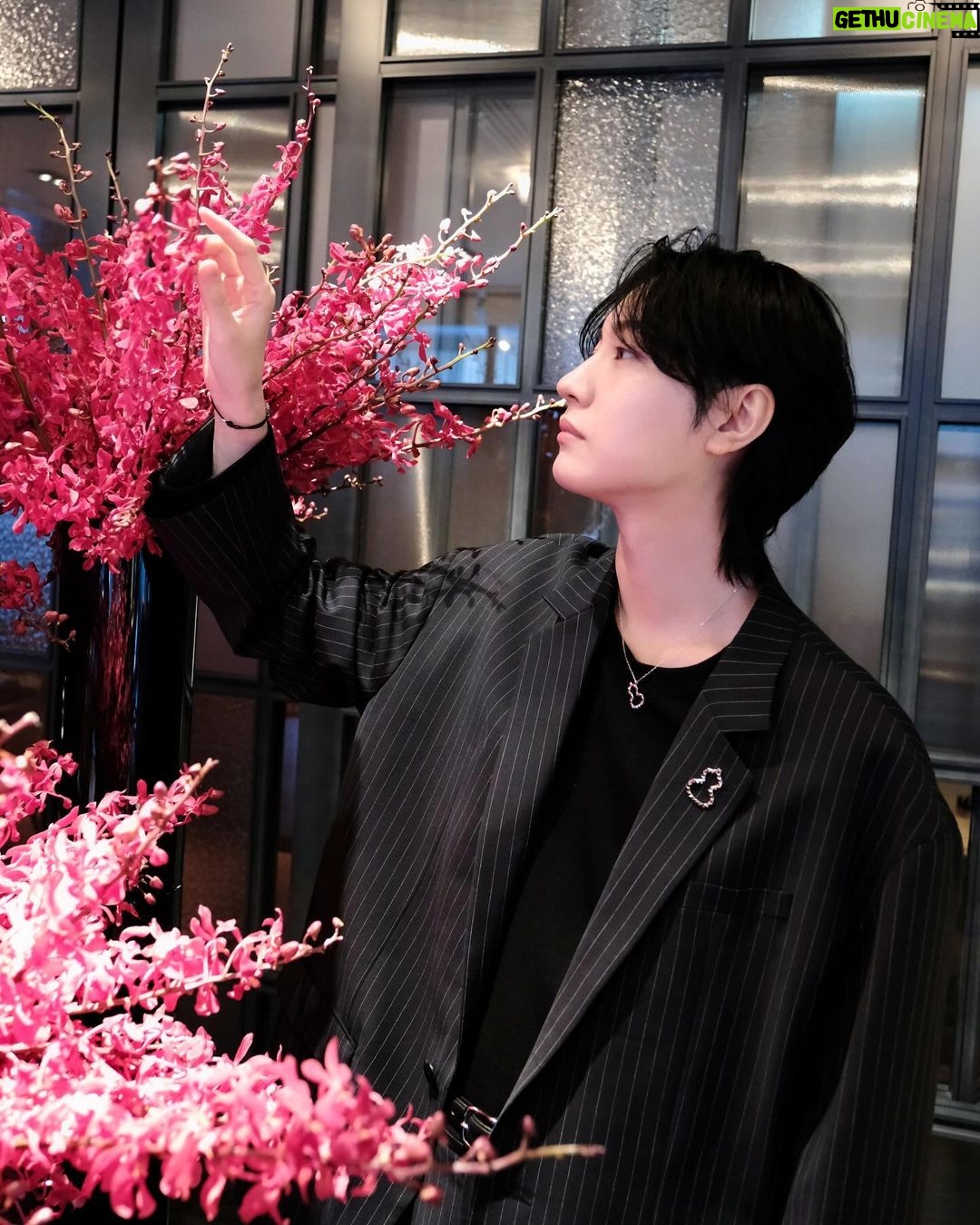 Dori Sakurada Instagram - Qeelin 中国からグローバル展開するファイン・ジュエラー『Qeelin / キーリン』が、この春から日本初フラッグシップストア“Qeelin Treasure Box”を銀座にオープンします! オリエンタルモチーフをモダンなデザインに落とし込み、熟練の職人技術で仕上げられたジュエリーで、縁起が良いとされるものがモチーフによく使用されていて、僕はひょうたんモチーフと、パンダのBOBOと呼ばれるコレクションがどちらも可愛らしくてお気に入りでした🐼✨ ちなみにブランド名の「キーリン」は、日本でもよく知られている伝説上の霊獣「Qilin(麒麟)」に由来するそうで、麒麟は中国神話に登場し、幸運と愛の象徴とされているそうです✨ そして記念としてQeelinの世界観あふれたキュートなアフタヌーンティーも体験しました🫖 アジアでも特に注目されているジュエリーブランドがついに銀座にオープンします✨ ご興味がある方は是非、銀座のストアに遊びに行ってみて下さい! @qeelinjewellery #QeelinJewellery #Qeelin #キーリン #PR