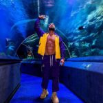 Dorian Popa Instagram - de la 1 la 8.. CARE ⁉️🤔 #underthesea #sealife 🐠 Istanbul, Turkey