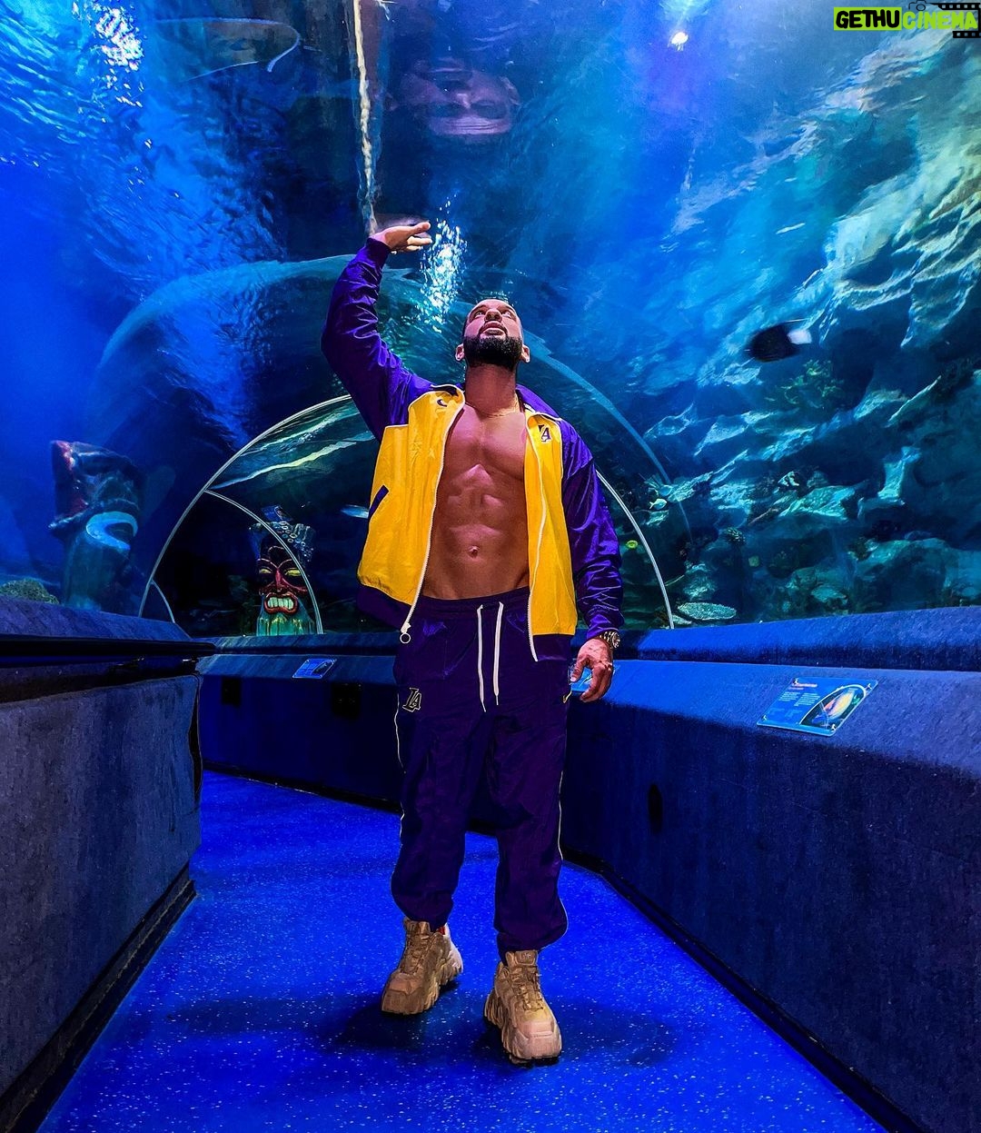 Dorian Popa Instagram - de la 1 la 8.. CARE ⁉️🤔 #underthesea #sealife 🐠 Istanbul, Turkey
