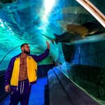 Dorian Popa Instagram - de la 1 la 8.. CARE ⁉️🤔 #underthesea #sealife 🐠 Istanbul, Turkey