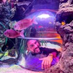 Dorian Popa Instagram - de la 1 la 8.. CARE ⁉️🤔 #underthesea #sealife 🐠 Istanbul, Turkey